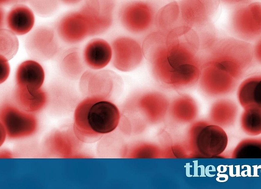 How your blood may predict your future health