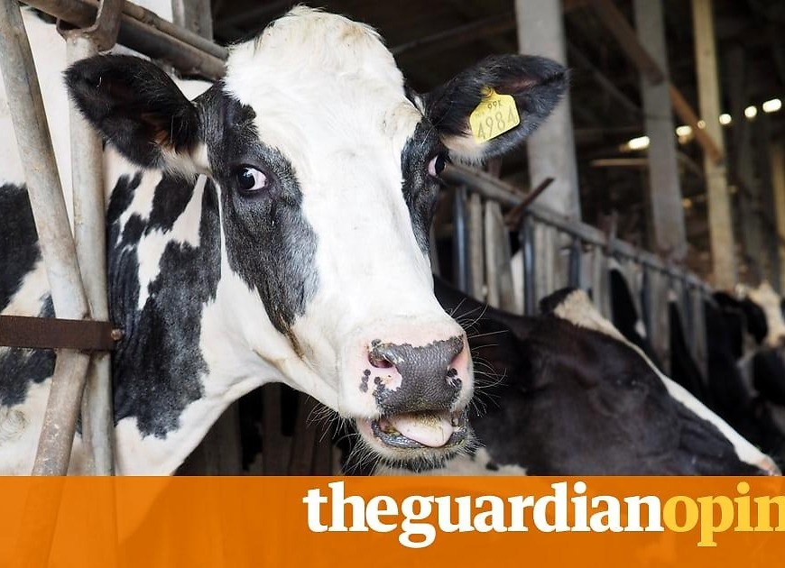 Animal agriculture is choking the Earth and making us sick. We must act now | James Cameron and Suzy Amis Cameron