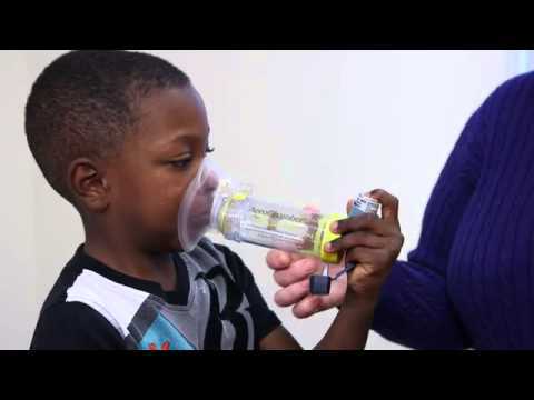 Getting to Understand Asthma