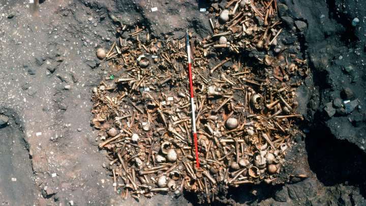 Mysterious Mass Grave In England Could Be Filled With The Viking Great Army’s War Dead