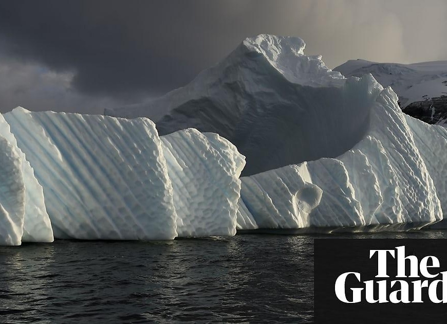 Decline in krill threatens Antarctic wildlife, from whales to penguins