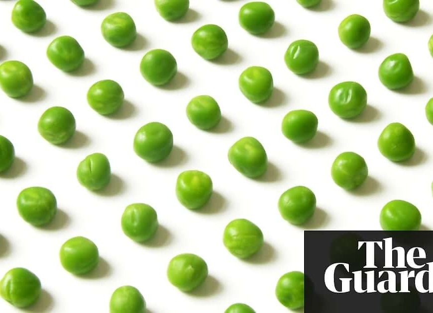 The unstoppable rise of veganism: how a fringe movement went mainstream