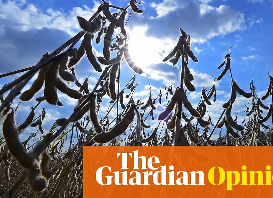 The best way to save the planet? Drop meat and dairy | George Monbiot