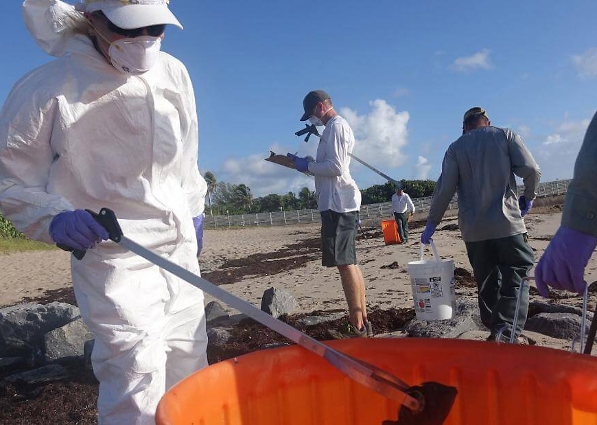 Red tide spreads to Florida’s east coast, shuttering some Miami-Dade beaches