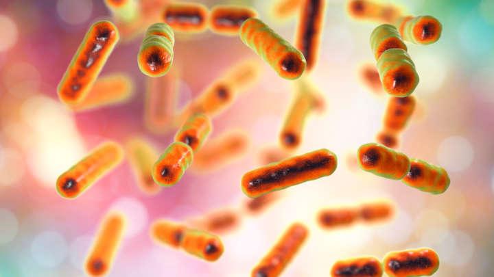 The Composition Of Your Gut Microbiome May Give Away Your Age, Says New Study