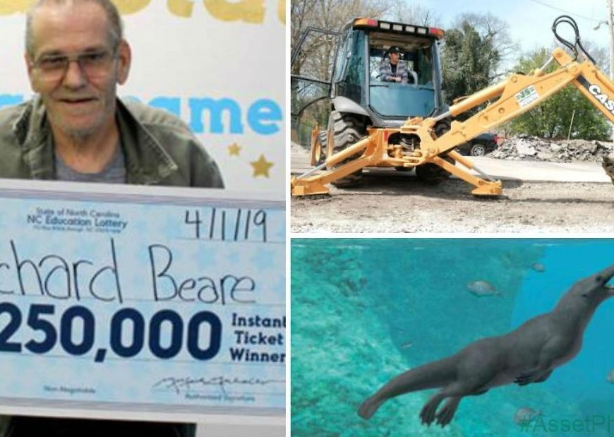 A lotto winner’s dream trip, a strange whale and a selfless shopping spree