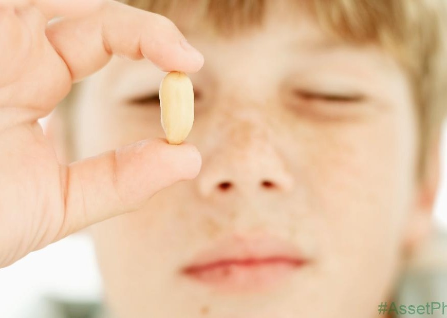 Experimental treatment for peanut allergy increases anaphylaxis risk, study finds