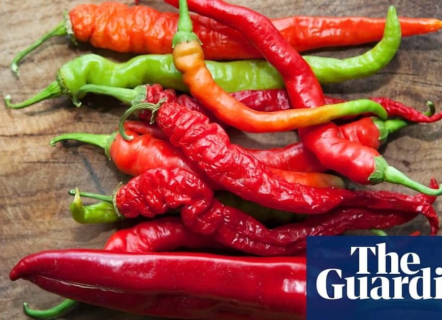 What can I use instead of chillies? | Kitchen Aide