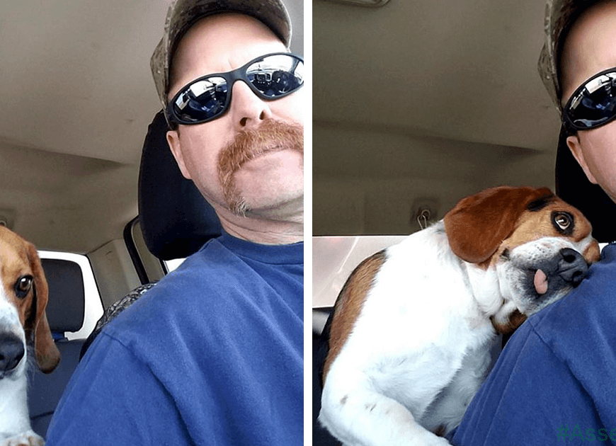 Man Rescues A Beagle From Being Euthanized In A Shelter, The Dog Cant Contain His Gratitude, Hugs His Rescuer