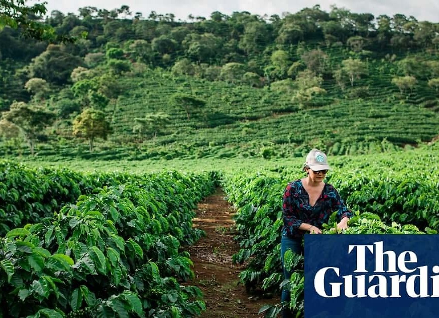 $1m a minute: the farming subsidies destroying the world – report