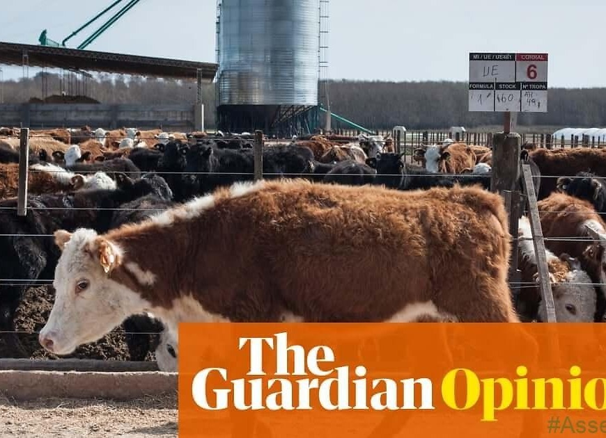 What we eat matters: to change climate crisis, we need to reshape the food system | Jess Fanzo and Mario Herrero