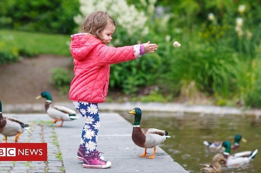 Viral duck feeding sign sparks anger and confusion