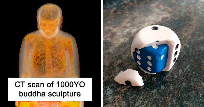 30 Times People Broke Or Opened Things And Were Surprised By What They Found Inside