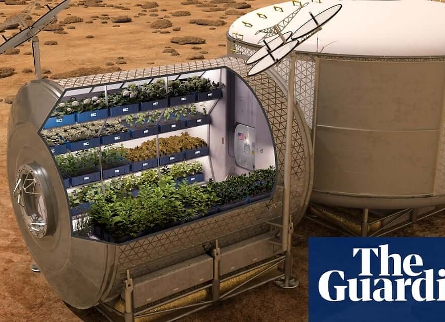 Space-grown lettuce to give astronauts a more varied diet